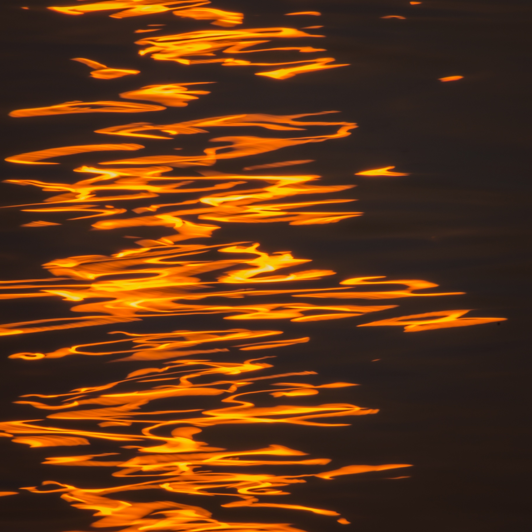 Golden light reflecting on dark water